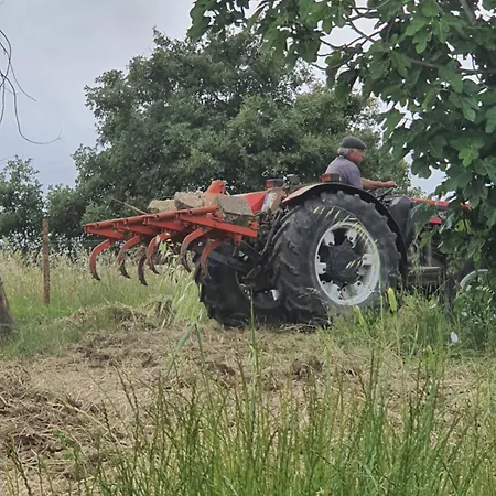 Casa de Férias Casa Da Padaria *