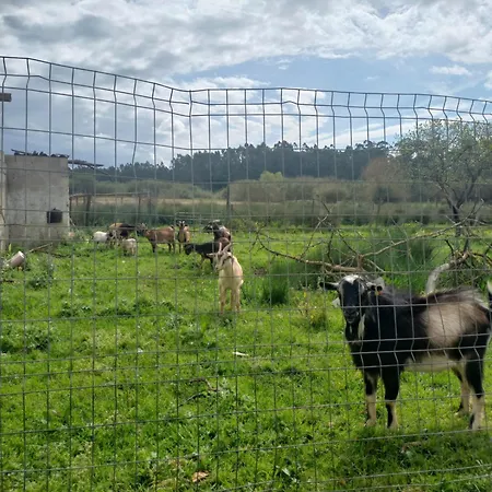 Casa Da Padaria * カルダス・ダ・ライーニャ